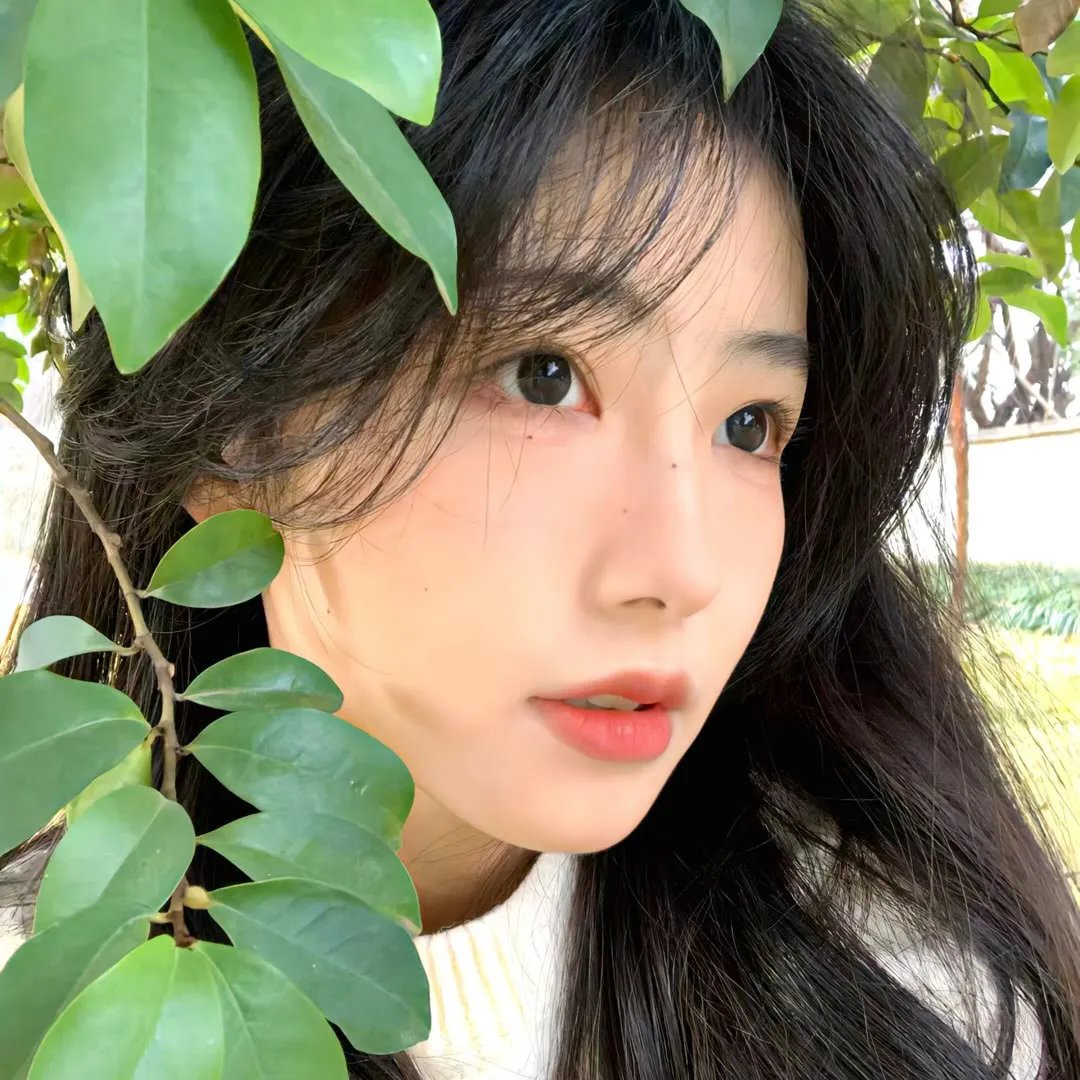 欢迎来到南方